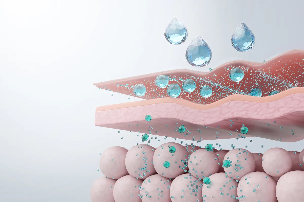 3D illustration of hyaluronic acid droplets absorbing through the skin's layers into deeper cells