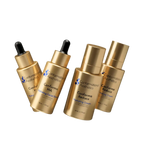 Complete Transformation Bundle